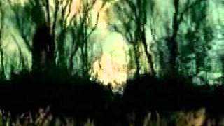 An Pierlé &amp; White Velvet  | How Does It Feel