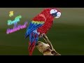 Paper Quilling; How to make a beautiful Rainbow parrot