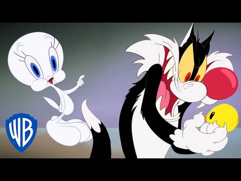 Looney Tunes em Português 🇧🇷 | Brasil | Frajola Pegou o Piu Piu?!?! | WB Kids