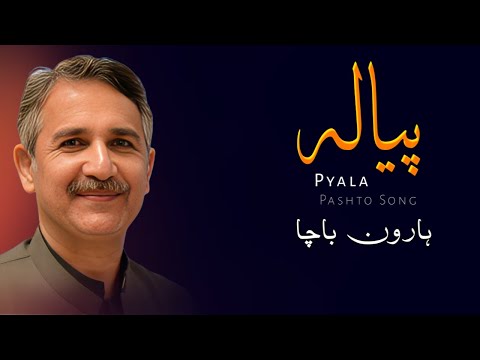 Pyala Haroon Bacha Ghazal - Pashto Ghazal - ہارون باچا