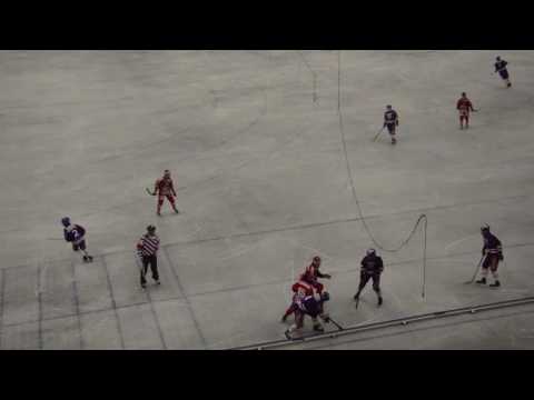 Botnia - JPS 26.11.2016 maalikooste