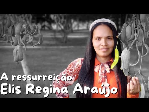 Ressurreição