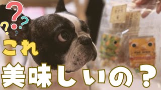 フレブルが貰ったおやつを恐る恐る味見するした結果大変そうだった😅