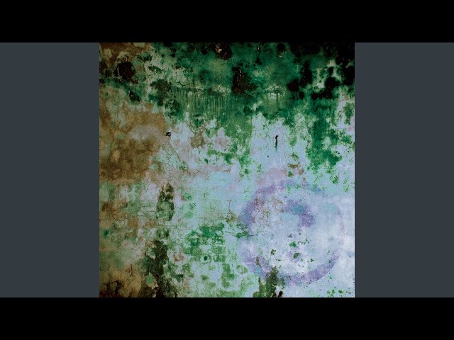 Robby Suavé - Bean (RBN) (Remix Stems)