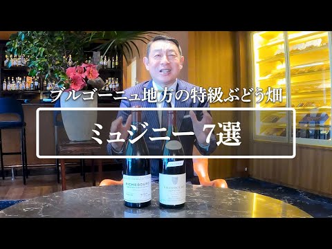 シチリア島の国旗 (改訂).svg