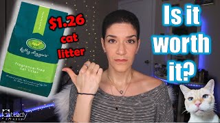 I tried this $1.26 cat litter from Walmart so you don't have to (Kitty Diggins review)