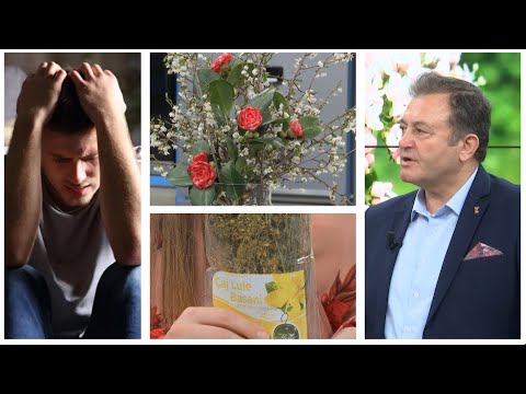 'Ilaçin' e stresit dhe ankthit e gjeni këtu! Ylli Merja prezanton bimët magjike