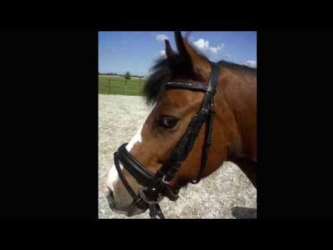 I love you twinklestar