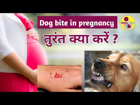गर्भावस्था मे कुत्ते के काटने पर क्या करे | सम्पूर्ण  जानकारी I Rabies vaccine