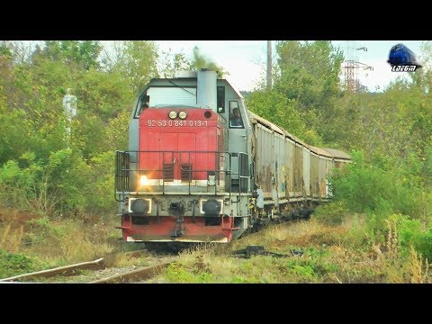 LDH1360 841 013-1 & Marfar CFR MARFA Freight Train in Episcopia Bihor - 17 October 2018
