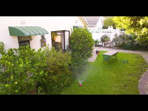 Beverley Walker video