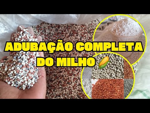 ADUBAÇÃO COMPLETA DO MILHO ? ? ?
