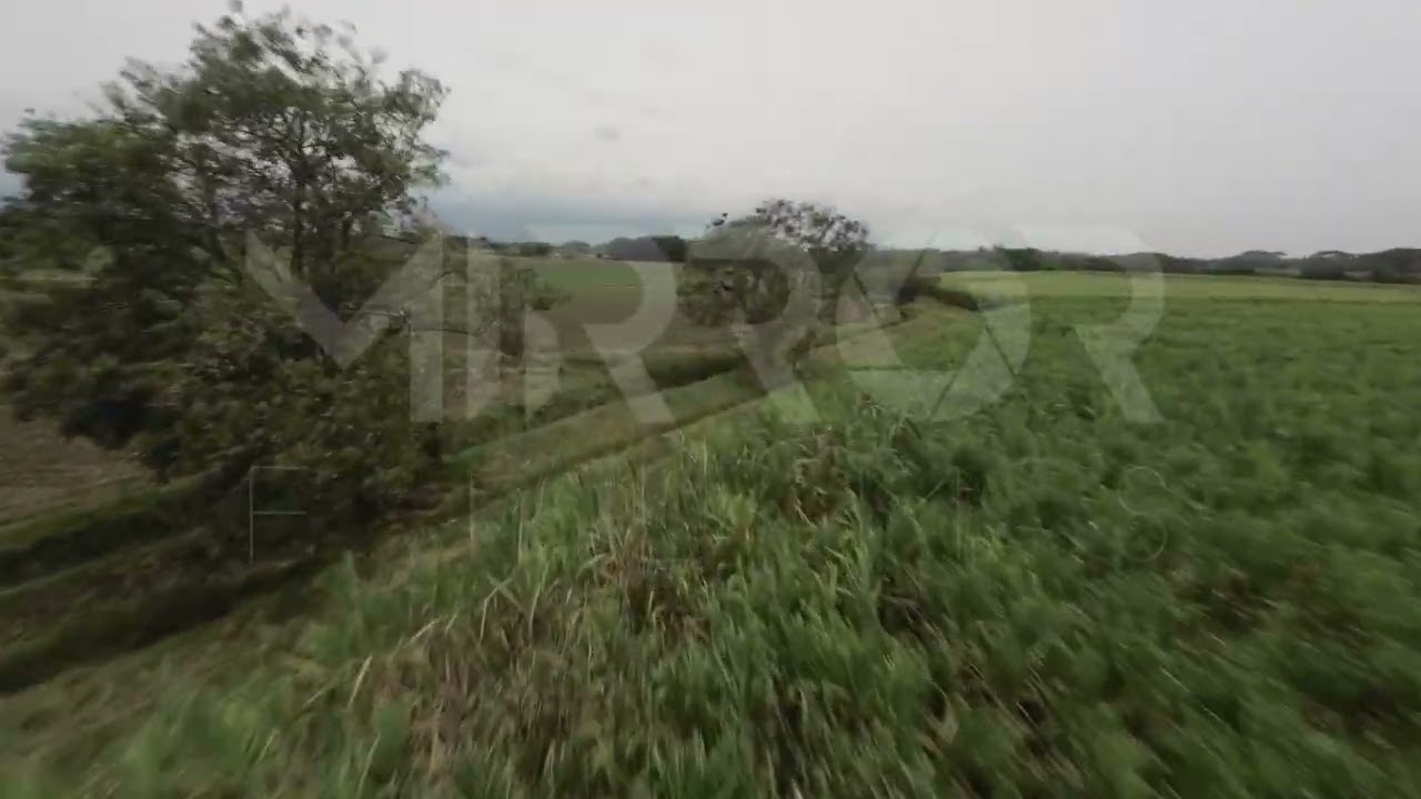 Cultivo de Caña FPV P4