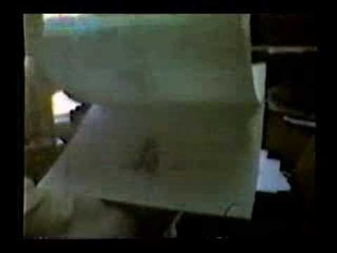 Dream On Silly Dreamer - teaser