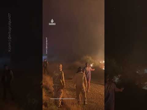 Forest fires force evacuations near resorts in Antalya | AJ #shorts