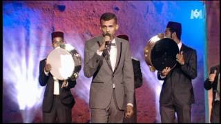 adonicedzdz algeriano
