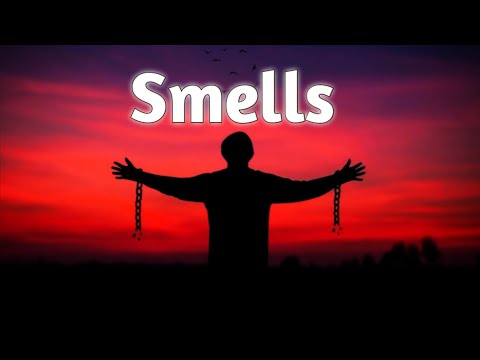 Smells | Acoustic Guitar type beat | Sad Guitar Instrumental | Renvo Beats