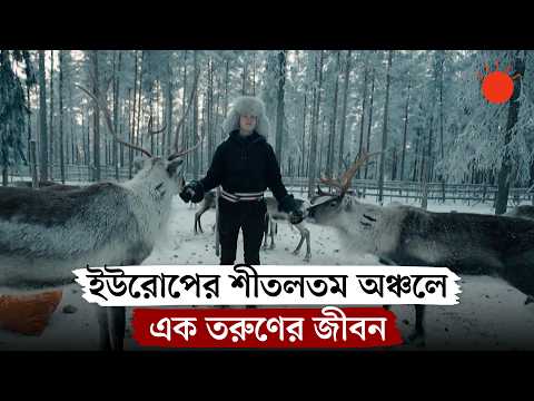 ল্যাপল্যান্ড: যেখানে জীবনের অংশ বল্গা হরিণ আর সনা
