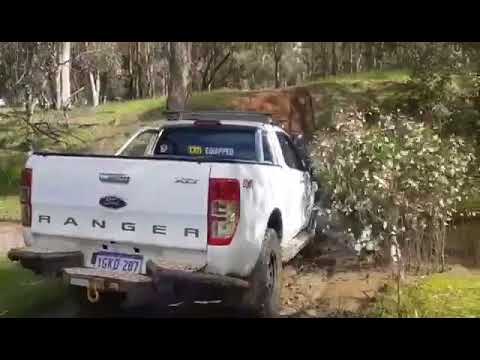 PPD Performance PX / PXII Ranger 3.2 turbo back exhaust