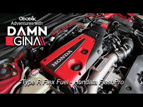 Stole Daaamngiina Type R - Installed a Flex Fuel Kit Using Hondata FlashPro Latest Feature