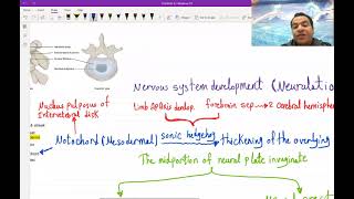 1. Basics of Neuroanatomy for USMLE - (Free trial Link in Description Below)