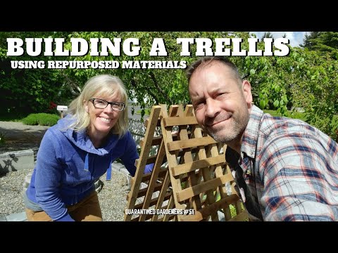Building a Trellis Using Repurposed Materials 🌿 QG Day 51