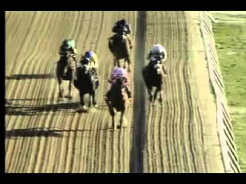 Pimlico 04/20/13 Race 10 - Henry S. Clark Stakes