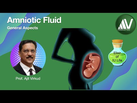 Fetal Swallowing: The Crucial Role in Development | Vibepedia