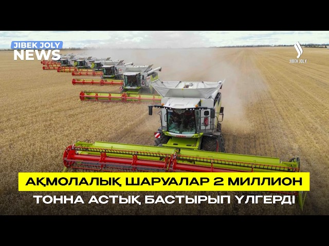 Ақмолалық шаруалар 2 миллион тонна астық бастырып үлгерді
