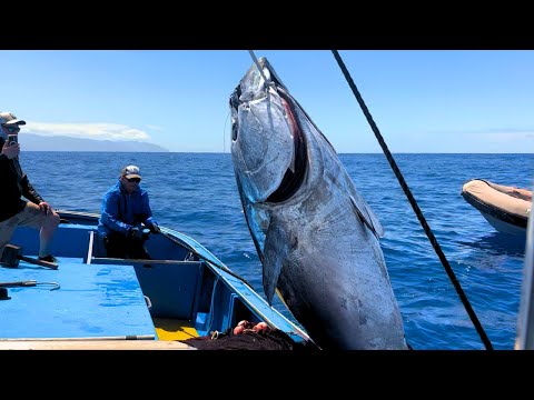 5 jours pour attraper un Thon Rouge GÉANT aux Canaries