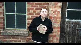 The Pheromoans – “Twibbon Wife”