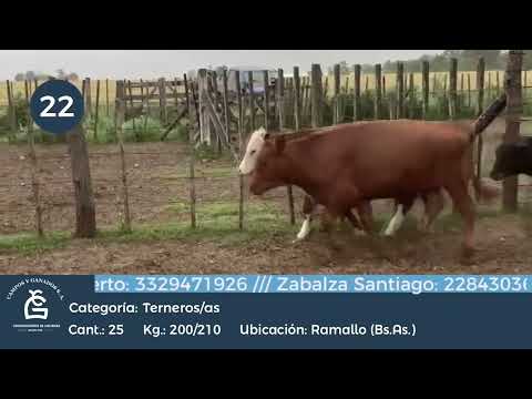 Lote M Y H - Ramallo Bs As