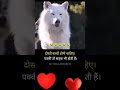 दोस्ती सच्ची होनी चाहिए पक्की तो सड़क 
