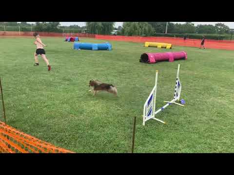 Dakar Családias Kezdő Agility Verseny