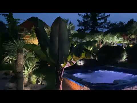 Palmy a Zahrady - Czech Republic - Noční svět plné pichlavé exotiky 12.6.2023.