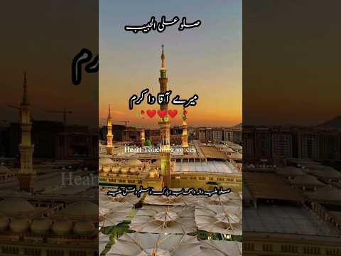 میرے آقا دا کرم #youtubeshorts #madinanaat #islamicshorts #viralnaat #viralvideo #hearttouchingvoice