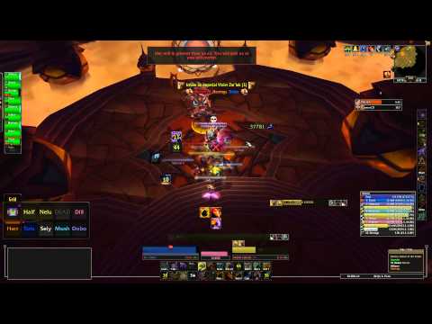 Imperial Vizier Zor'lok 10 man Heroic - Elemental Shaman POV