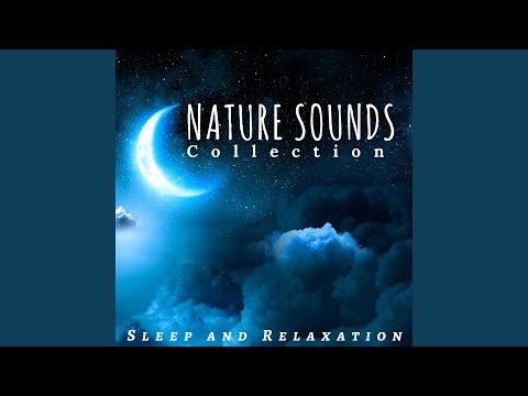 Nature Sounds Collection