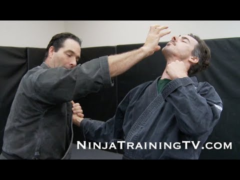 Battlefield Fighting Technique from Koto Ryu Koppojutsu