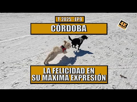 LUCIO V MANSILLA | CRUZ DEL EJE - ¿QUÉ ENCONTRAMOS? | EP9 | TP 2025