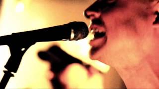 The Bunny Gang and Norton Wisdom