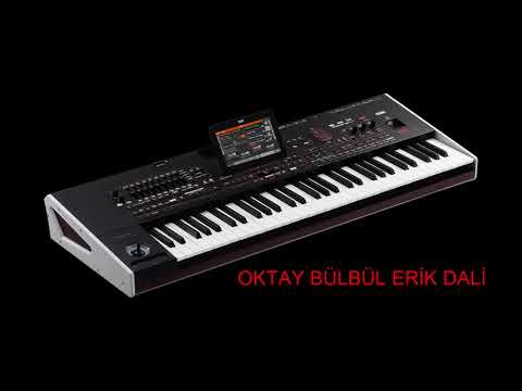 ERİK DALI OKTAY BÜLBÜL