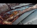 Ants Behind the Shed in Keyport, NJ