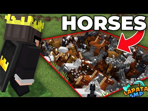 SenpaiSpider - Using Horses to Take Revenge from my Enemies in the Deadliest Minecraft SMP