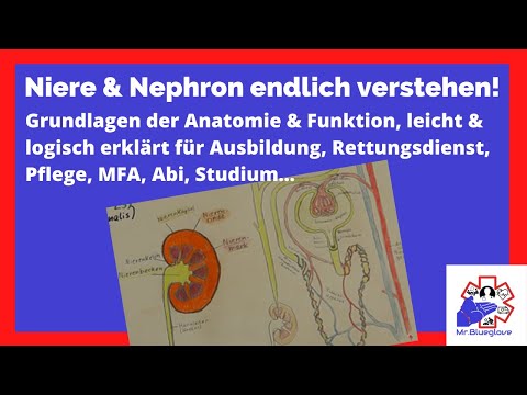 PRÜFUNGSSTOFF Niere & Nephron Lernvideo einfach & ausführlich erklärt! Rettung, Pflege, Medi & Co.