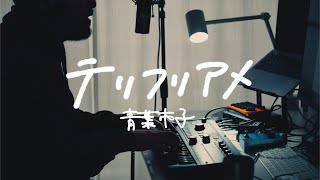 The Rain From Light And Shadow- Ichiko Aoba (テリフリアメ - 青葉市子) [microKORG cover]