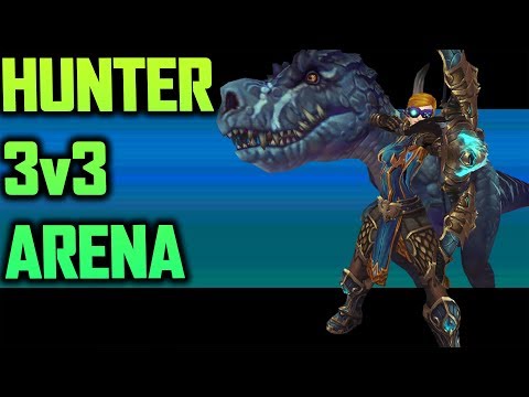 2700+ Marksmanship Hunter 3v3 Arena #15