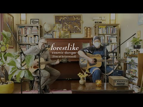 Cosmic Danger - forestlike