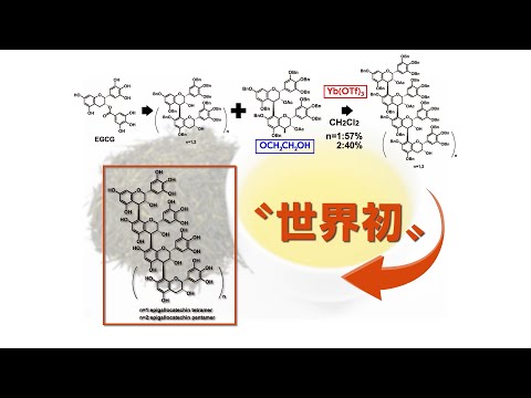 オリゴマー - 定義