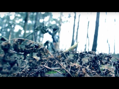 174-BURAK YETER TV - Burak Yeter - Miami Dream (青木ヶ原)